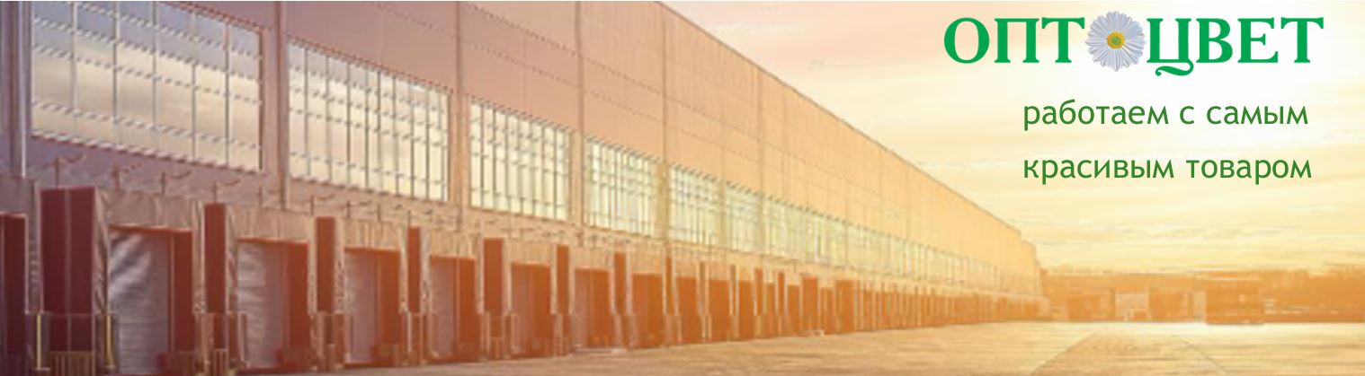 Звоните: 8 (985) 220-06-26